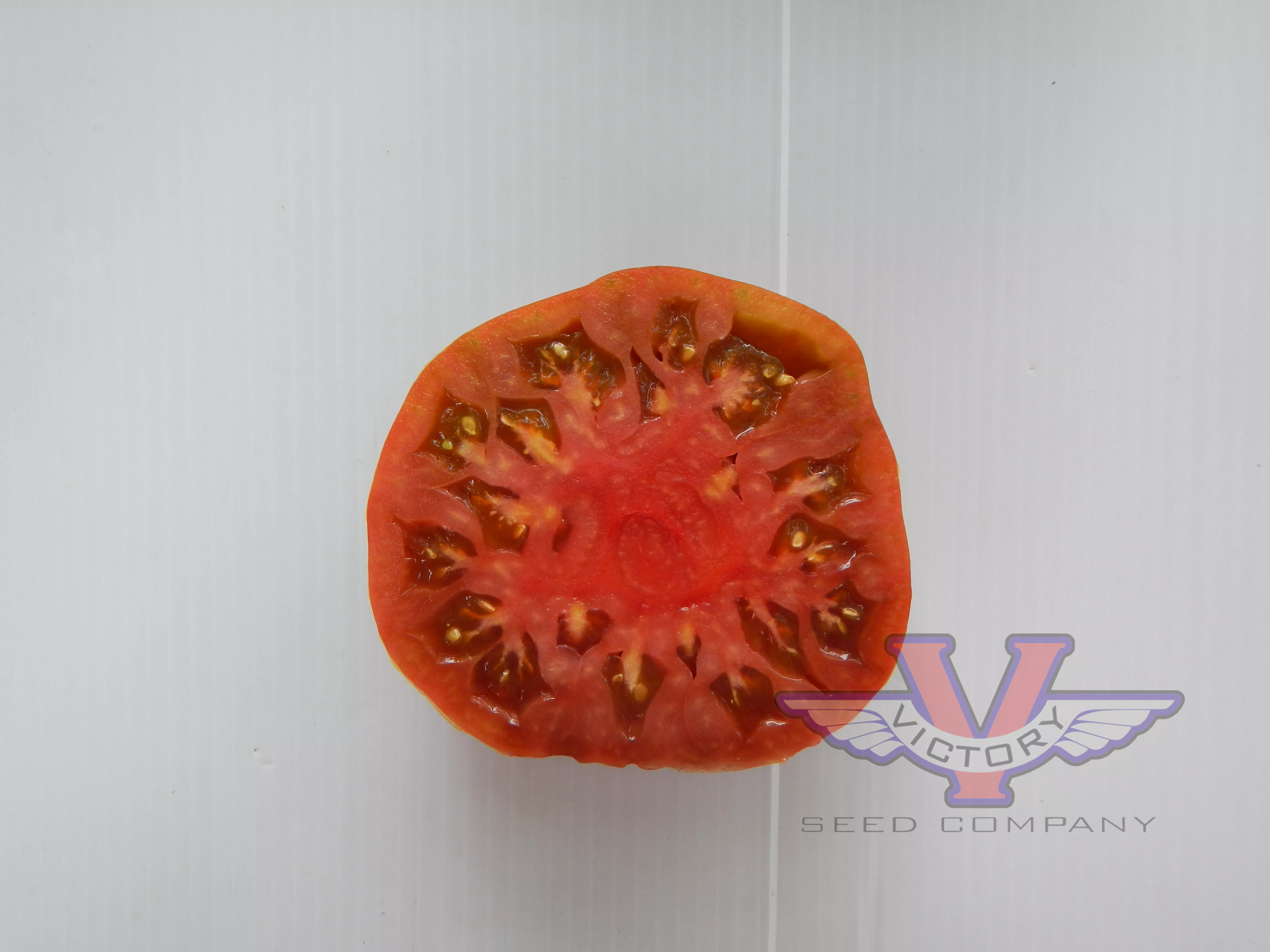 Abraham Brown Tomato