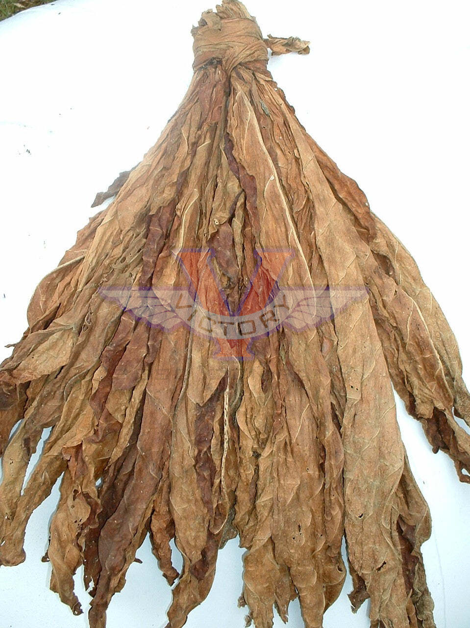 Little Dutch Tobacco