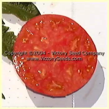 Tidwell German Tomato