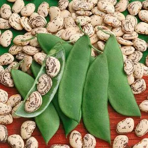 Lima Beans and Butterbeans