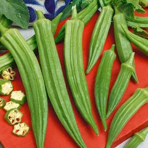 Clemson Spineless 80 Okra