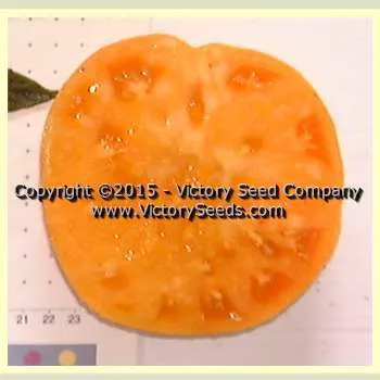 Kellogg's Breakfast Tomato