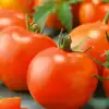 Bonny Best Tomato