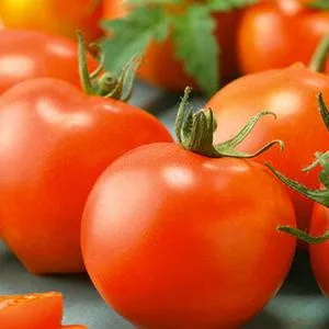 Bonny Best Tomato