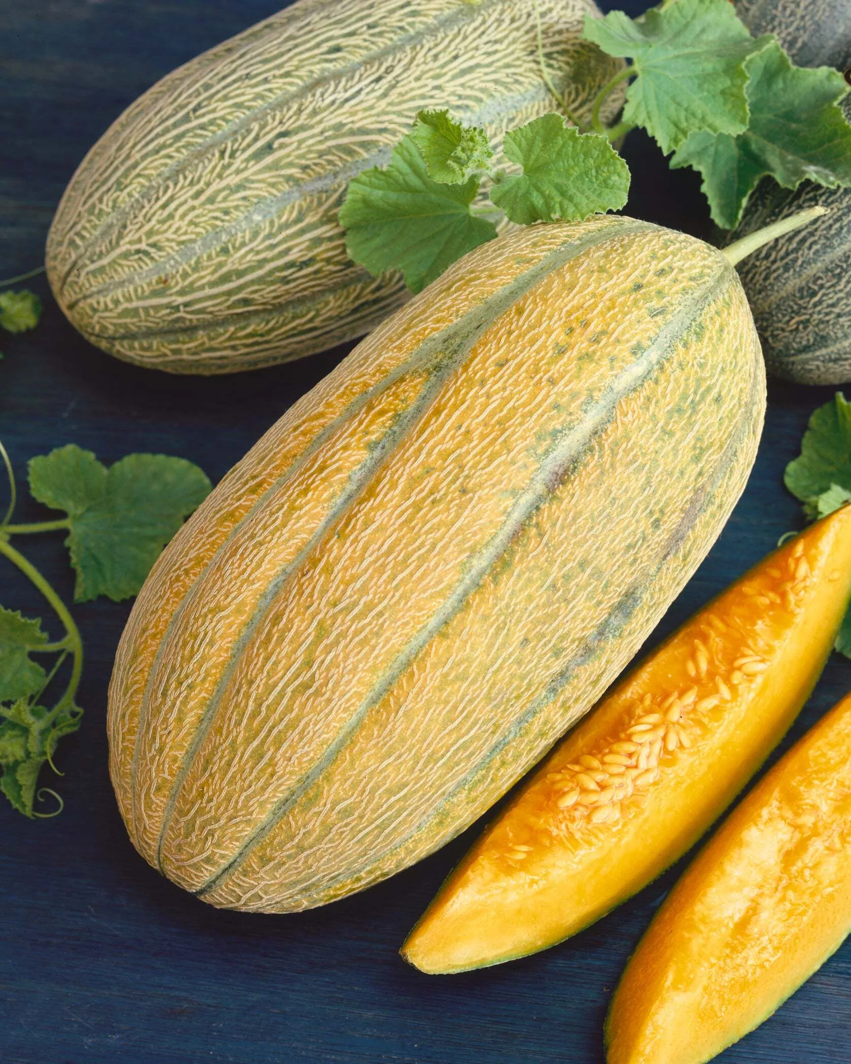Banana Melon