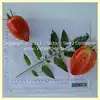 Ludmilla Red Plum Tomato
