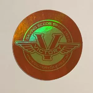Sticker, 3-inch Round Red & Yellow Holographic