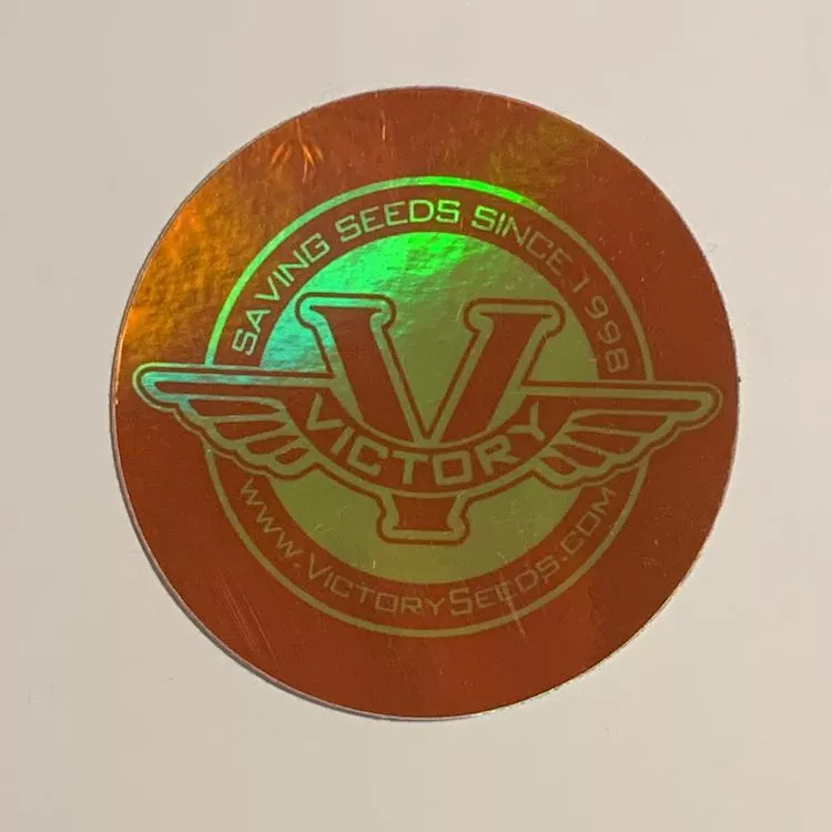 Sticker, 3-inch Round Red & Yellow Holographic