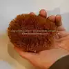 Tawashi-style Scrub Brush, Traditional 4-Inch Natural Coir Bristle