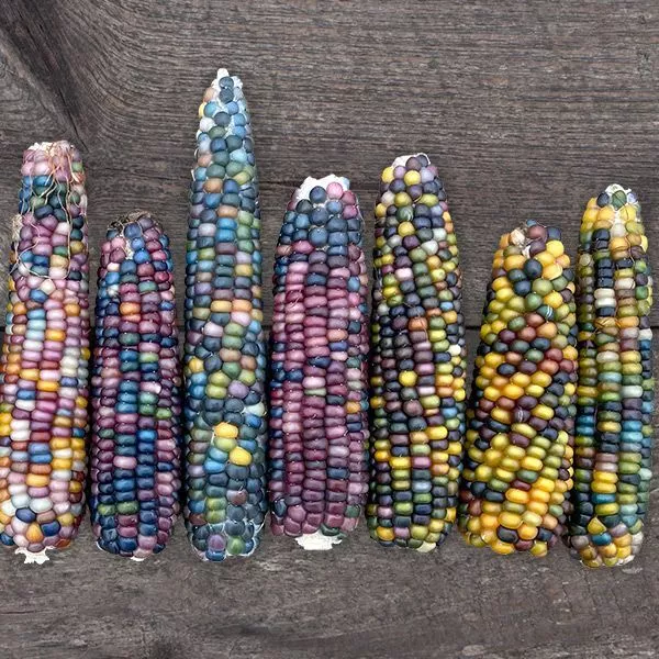 Glass Gem Popcorn