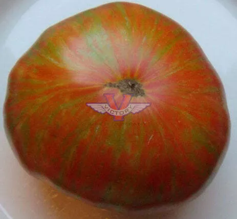 Chocolate Lightning Tomato