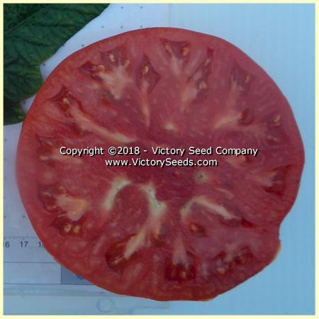 Large Lucky Red Tomato