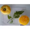 Lillian's Yellow Heirloom Tomato
