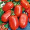 Roma VF Tomato