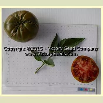 Brandywine, True Black - Tomato