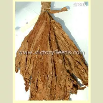 Kelly Brownleaf Tobacco
