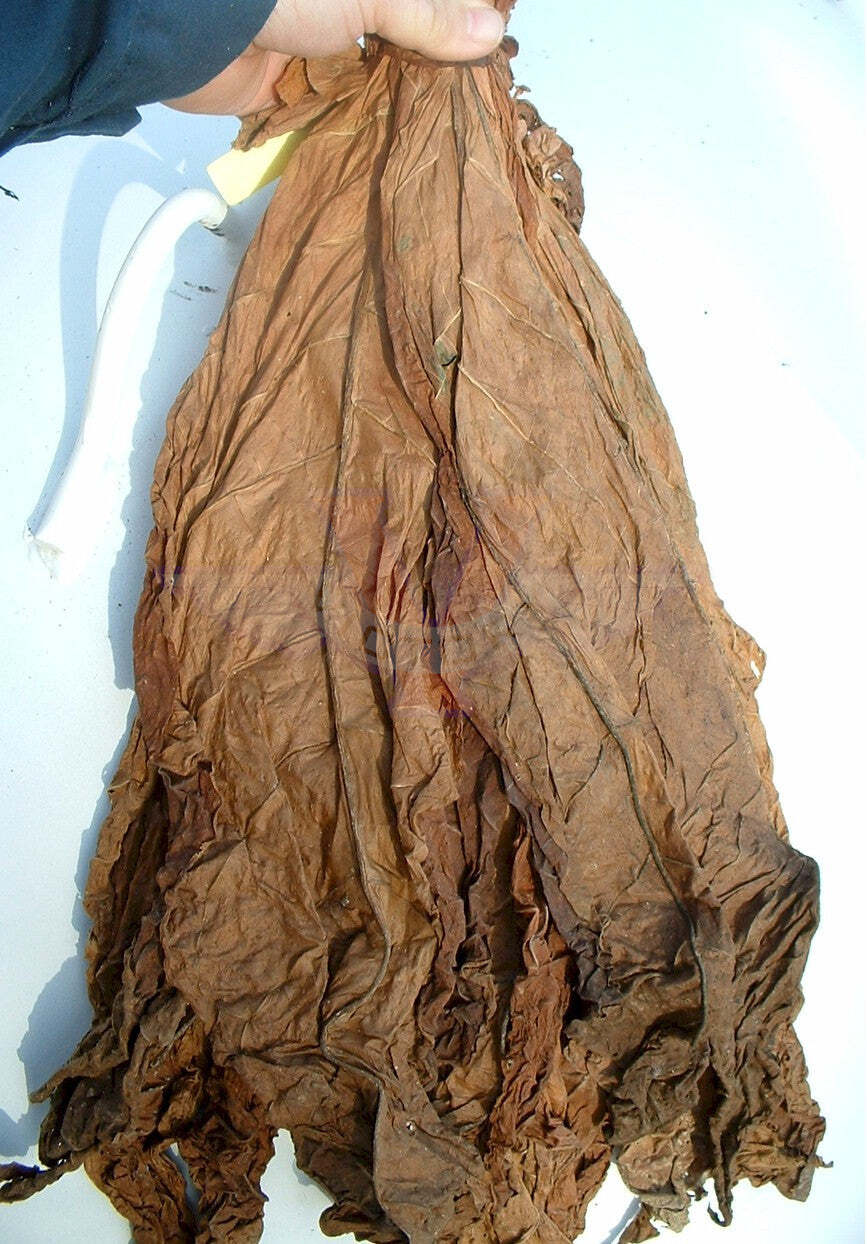 Catterton Tobacco