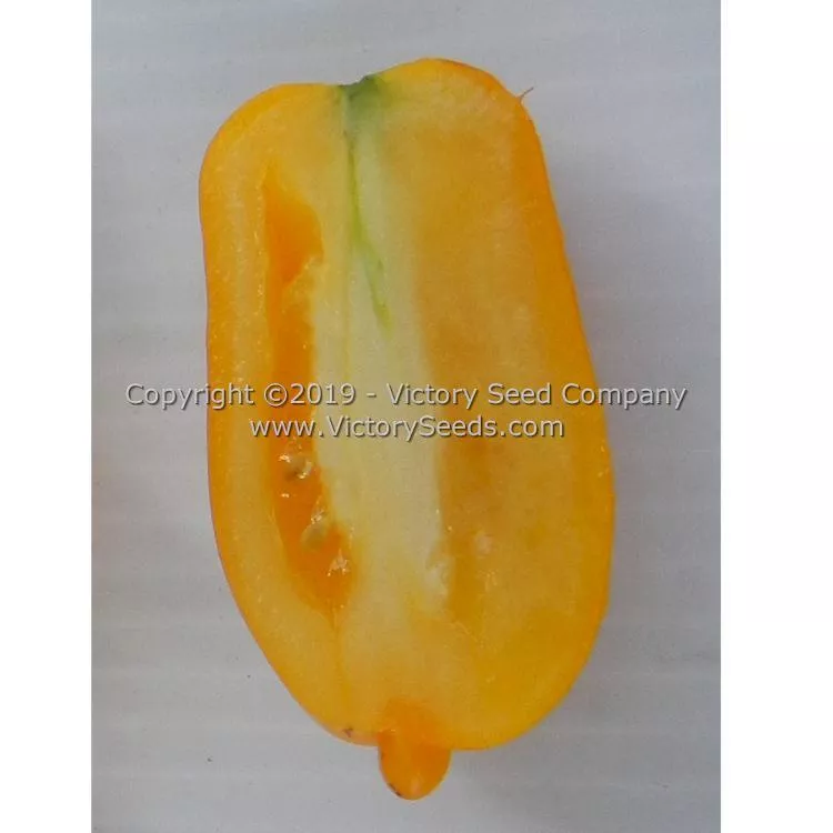 Banana Toes Tomato