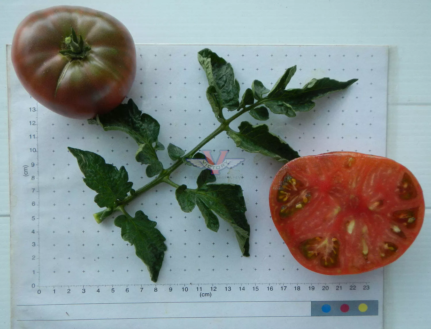 Rosella Purple Tomato