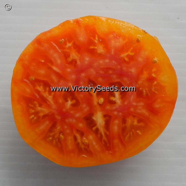 Lucky Cross Tomato