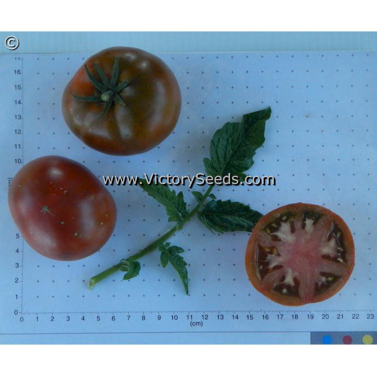 Deaton's Dwarf Tomato