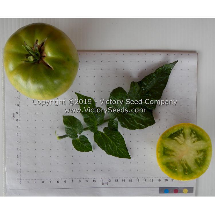 Dwarf Grinch Tomato