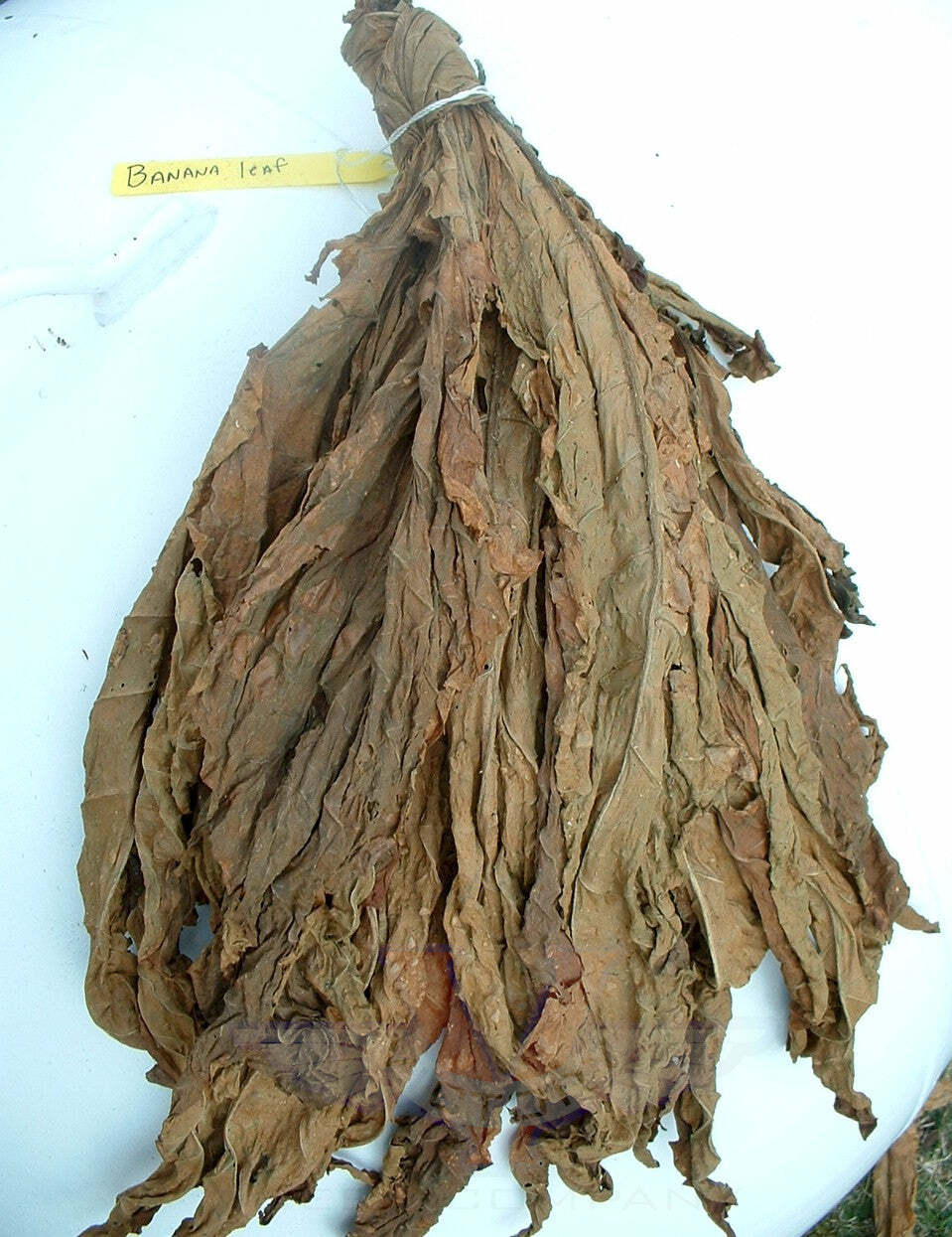 Banana Leaf Tobacco