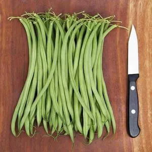 Maxibel Haricot Vert Garden Bean