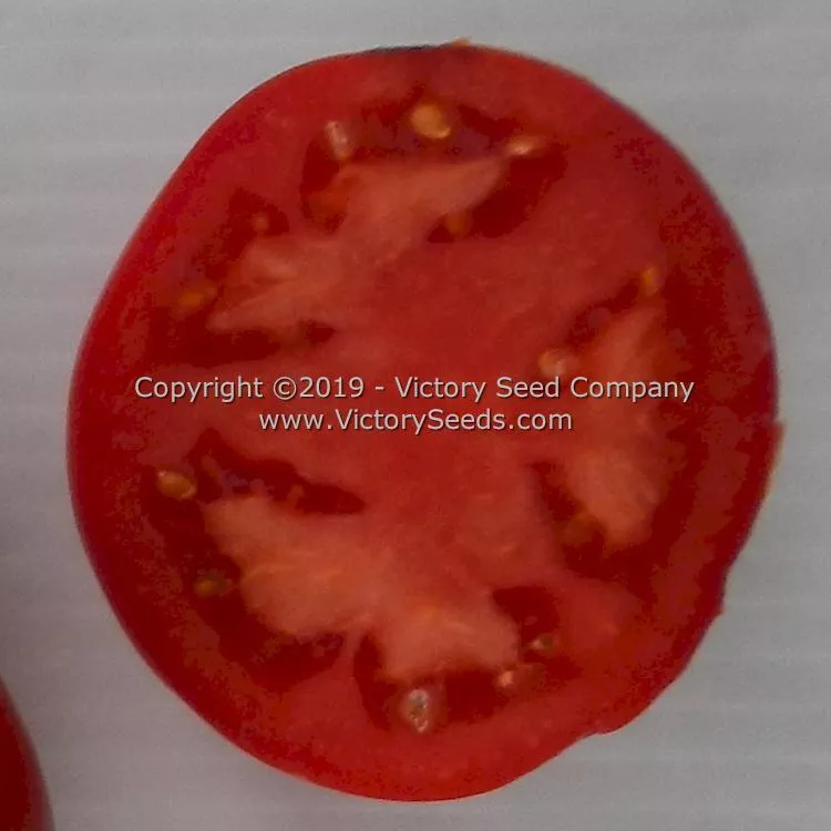 Atkinson Tomato