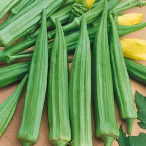 Emerald Okra (Emerald Green Velvet)