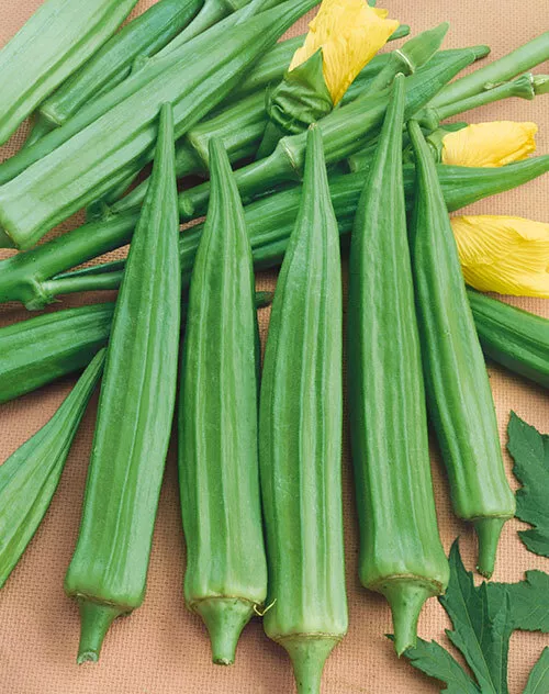 Emerald Okra (Emerald Green Velvet)
