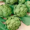 Imperial Star Artichoke