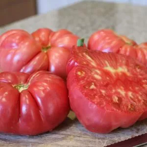 Pink Delicious F1 Tomato
