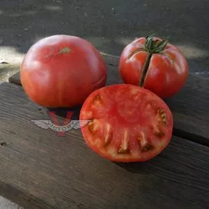 Earl Tomato