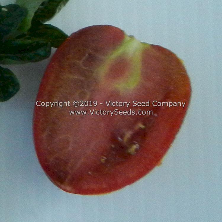 Aussie Drop Tomato