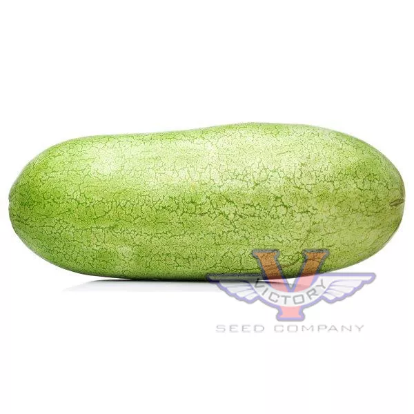 Tom Watson Watermelon