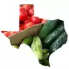 Texas Vegetable Garden Pack