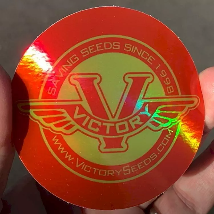 Sticker, 3-inch Round Red & Yellow Holographic