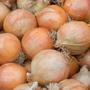 Yellow Sweet Spanish Onion