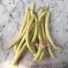 Golden Butterwax Bush Snap Garden Bean