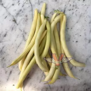 Golden Butterwax Bush Snap Garden Bean
