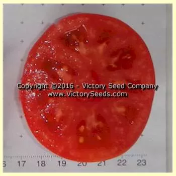 Coorong Pink Tomato