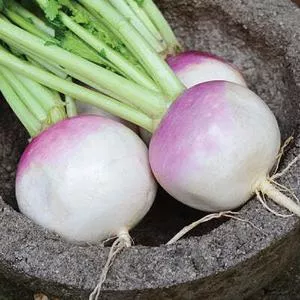 Turnips