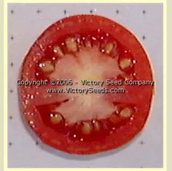 Stick Tomato