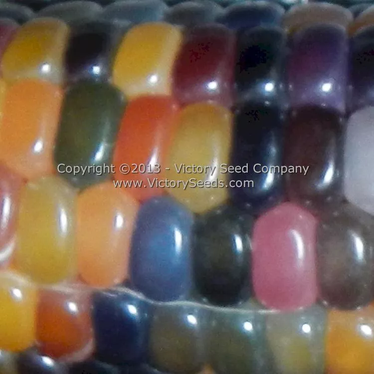 Glass Gem Popcorn