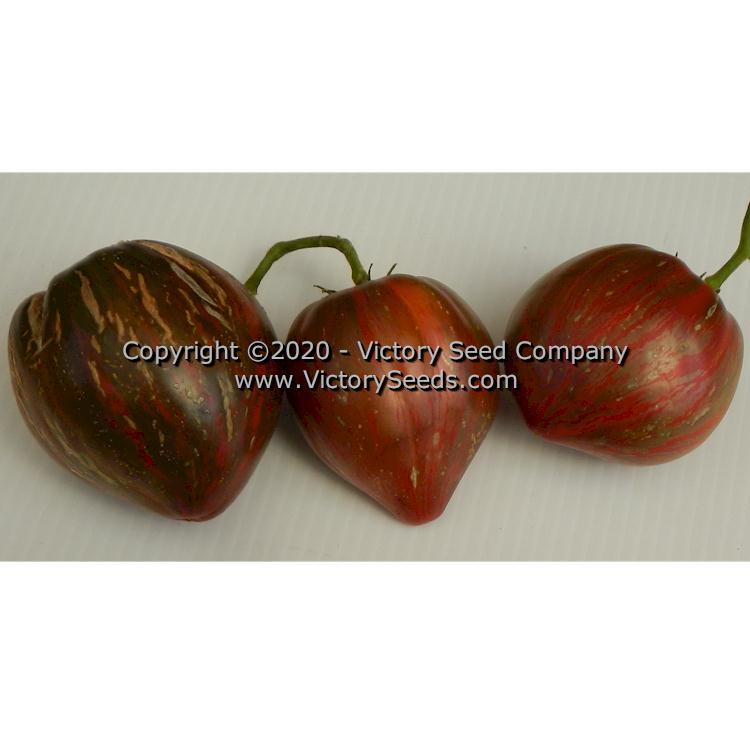 Dwarf Purple Heartthrob Tomato