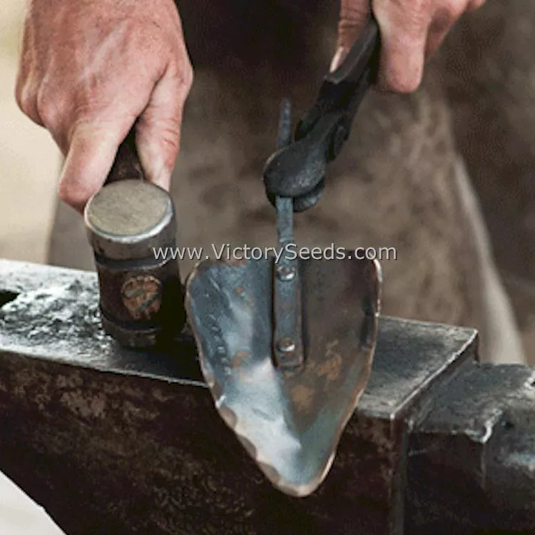Wide Garden Trowel