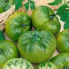 Cherokee Green Tomato