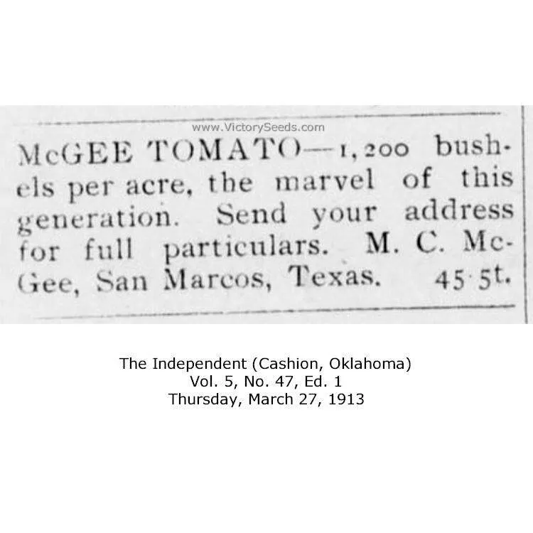 McGee Tomato