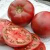 Cherokee Purple Tomato